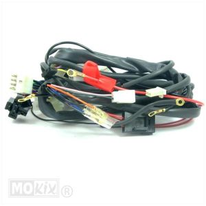 Kabelboom Rieju RS2 RS2-Pro 2006