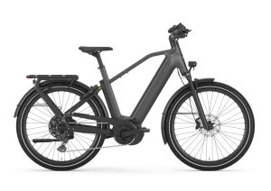 Gazelle Eclipse T11 HMB 750wh heren